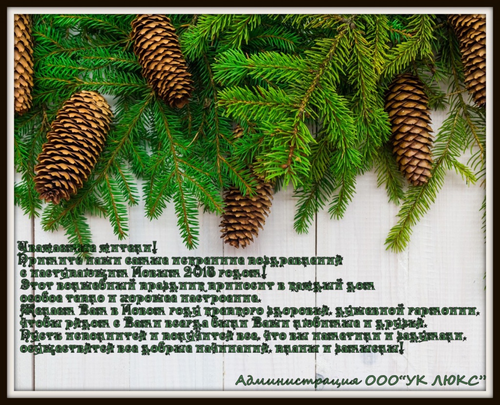 люкс нг 2016.jpg